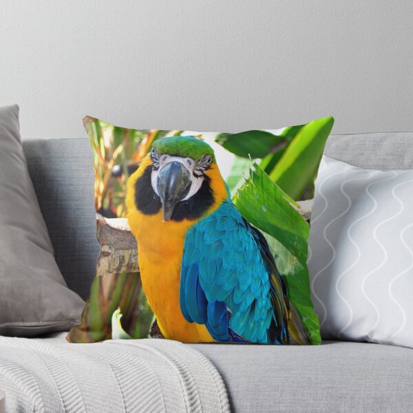 Item preview, Macaw Parrot Yellow And Blue Bird designed and sold by AndyEvansPhotos.