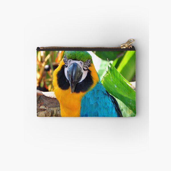 Item preview, Macaw Parrot Yellow And Blue Bird designed and sold by AndyEvansPhotos.