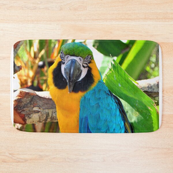 Item preview, Macaw Parrot Yellow And Blue Bird designed and sold by AndyEvansPhotos.