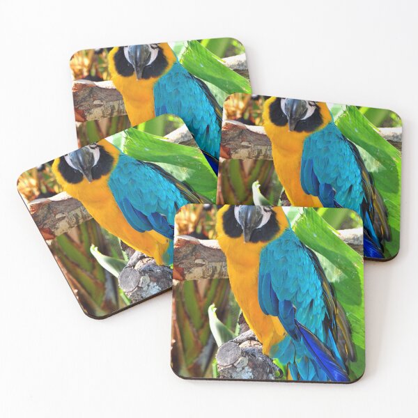 Item preview, Macaw Parrot Yellow And Blue Bird designed and sold by AndyEvansPhotos.