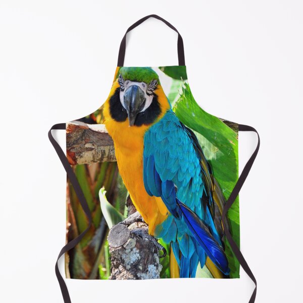 Item preview, Macaw Parrot Yellow And Blue Bird designed and sold by AndyEvansPhotos.