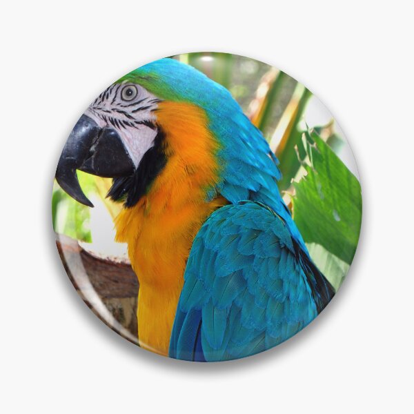 Item preview, Macaw Parrot Yellow And Blue Bird designed and sold by AndyEvansPhotos.