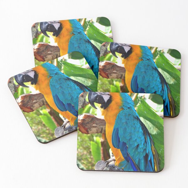 Item preview, Macaw Parrot Yellow And Blue Bird designed and sold by AndyEvansPhotos.