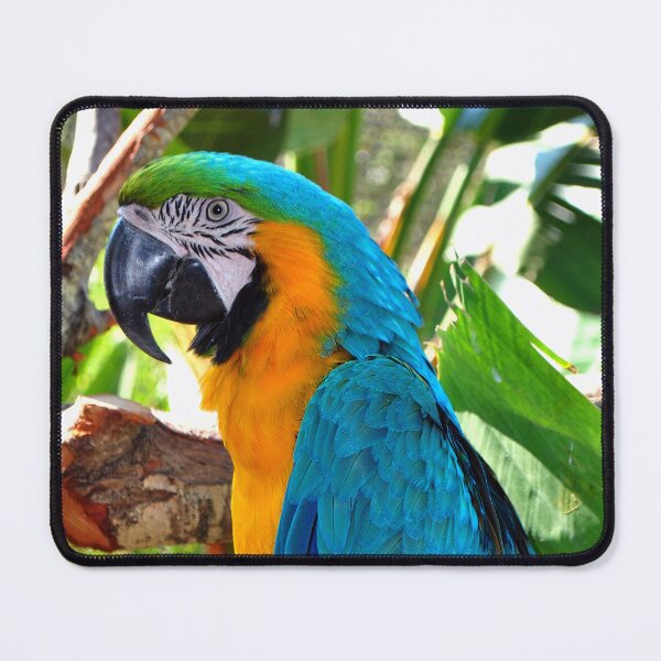 Item preview, Macaw Parrot Yellow And Blue Bird designed and sold by AndyEvansPhotos.