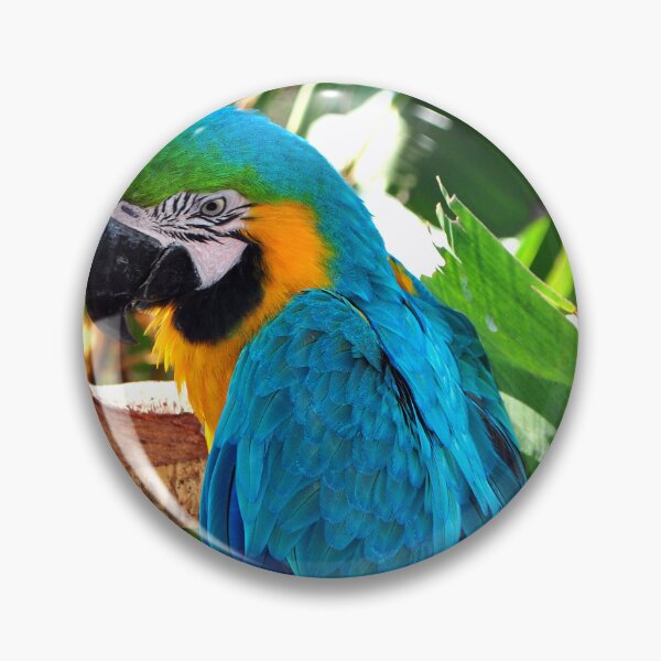 Item preview, Macaw Parrot Yellow And Blue Bird designed and sold by AndyEvansPhotos.