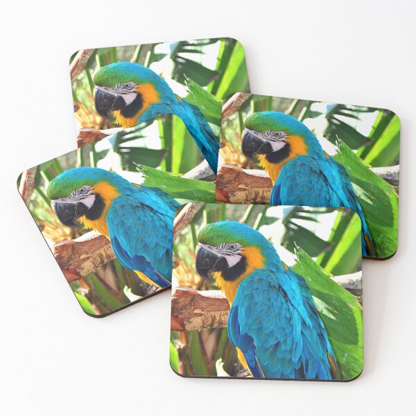 Item preview, Macaw Parrot Yellow And Blue Bird designed and sold by AndyEvansPhotos.