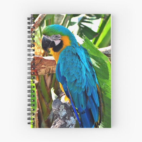 Item preview, Macaw Parrot Yellow And Blue Bird designed and sold by AndyEvansPhotos.