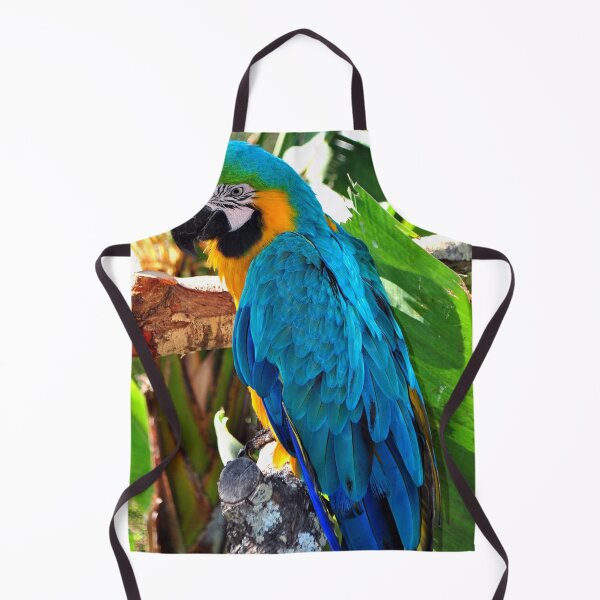 Item preview, Macaw Parrot Yellow And Blue Bird designed and sold by AndyEvansPhotos.