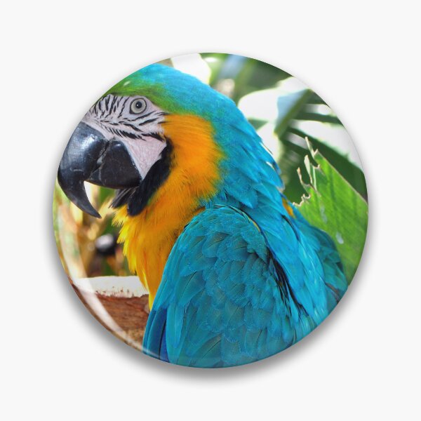 Item preview, Macaw Parrot Yellow And Blue Bird designed and sold by AndyEvansPhotos.