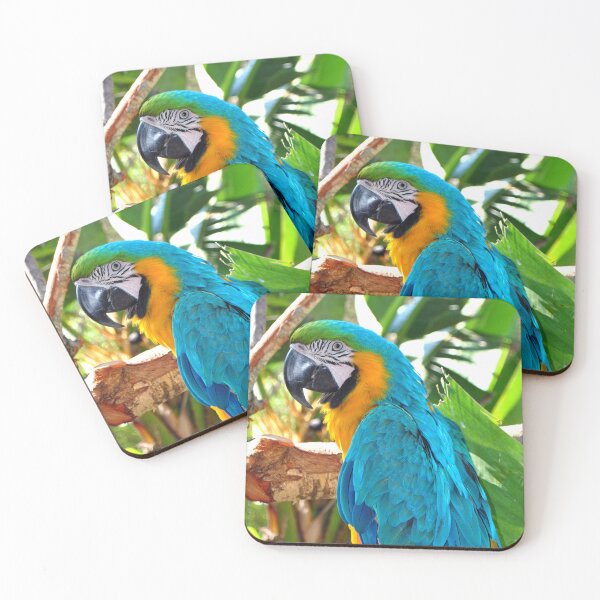 Item preview, Macaw Parrot Yellow And Blue Bird designed and sold by AndyEvansPhotos.