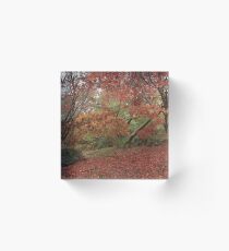 Acer walk Acrylic Block