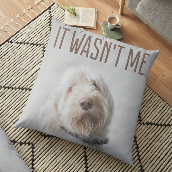 It wasn't me! Floor Pillow