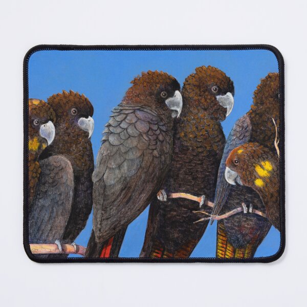 Item preview, Glossy Black Cockatoos designed and sold by BackyardsforBiodiversity  SEQ Inc.