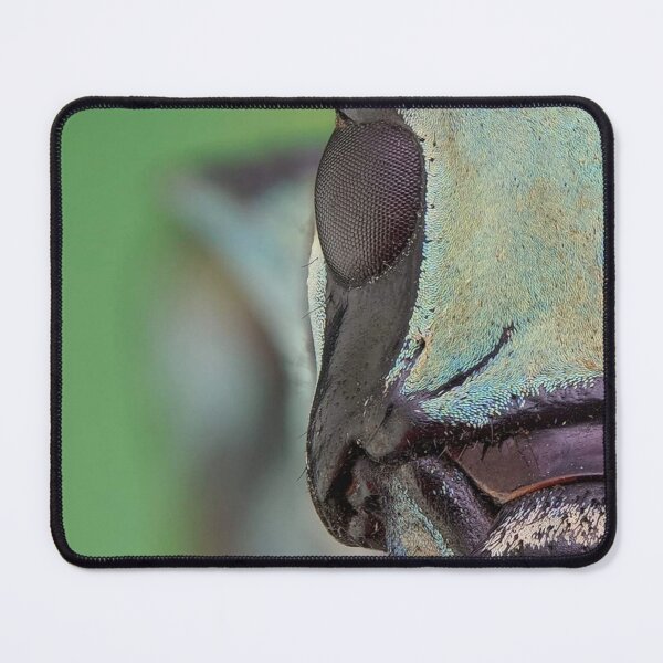 Item preview, Macro lens designed and sold by HomHai.