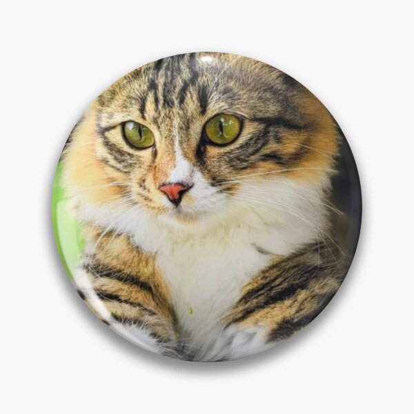 Item preview, Cat designed and sold by HomHai.