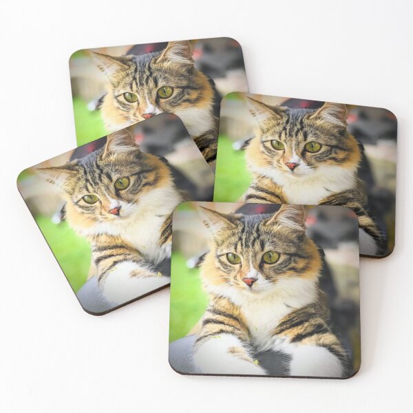Item preview, Cat designed and sold by HomHai.
