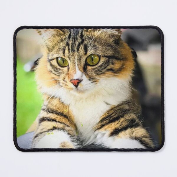 Item preview, Cat designed and sold by HomHai.