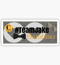 Team Jake Grey Mug Sticker