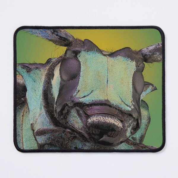 Item preview, Insect designed and sold by HomHai.