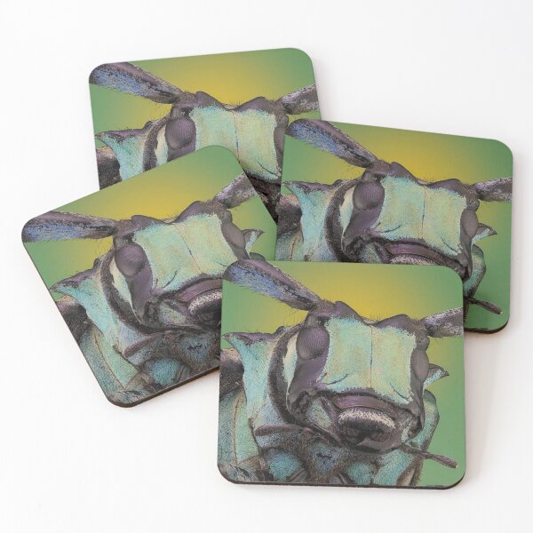 Item preview, Insect designed and sold by HomHai.