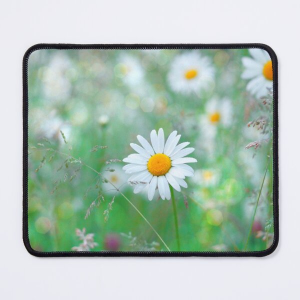 Item preview, SOLOR designed and sold by Frogmuse.