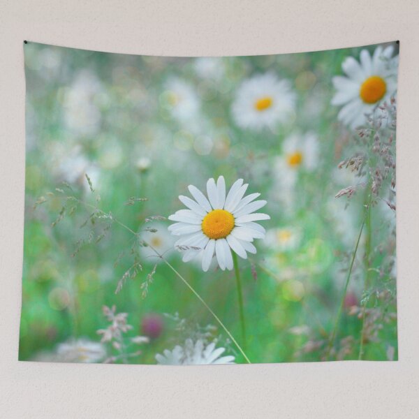 Item preview, SOLOR designed and sold by Frogmuse.