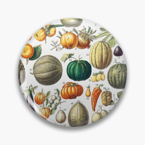 Item preview, Vintage Fruits and Vegetables Illustration, from Nouveau Larousse Illustre (1898), by Larousse, Pierre, Augé and Claude designed and sold by Meliara Prints.