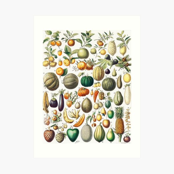 Fruits And Vegetables From Nouveau Larousse Illustre