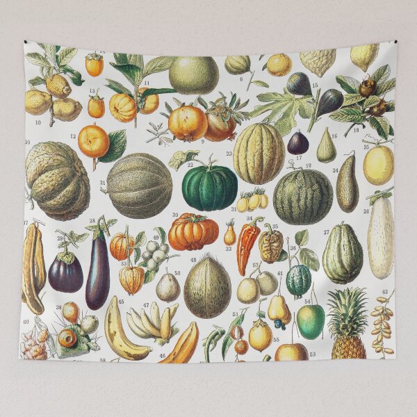 Item preview, Vintage Fruits and Vegetables Illustration, from Nouveau Larousse Illustre (1898), by Larousse, Pierre, Augé and Claude designed and sold by Meliara Prints.