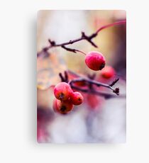 Rowan Canvas Print