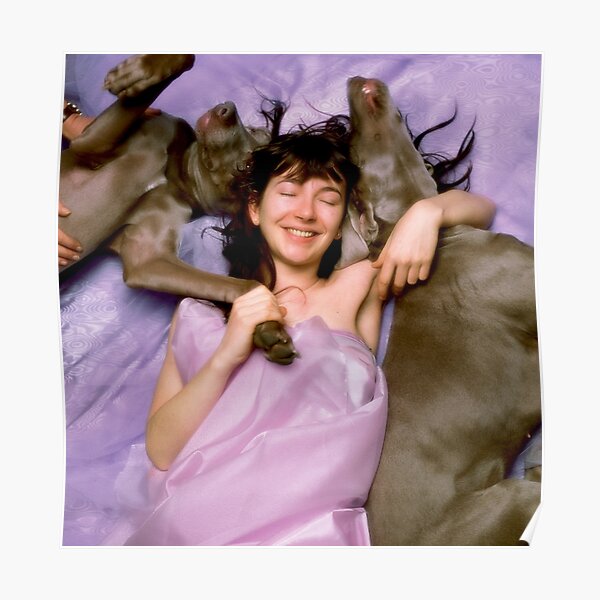 Chiens d'amour Poster