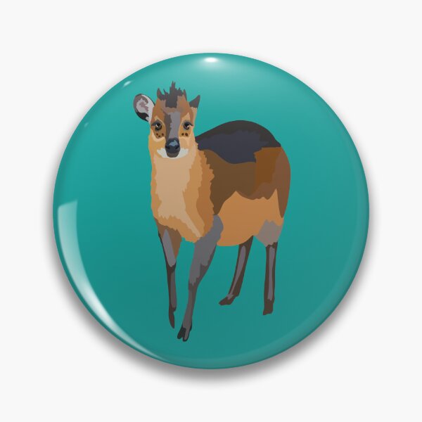 Item preview, R is for Red Flanked Duiker, Red Flanked Duiker – Small African Antelope Wildlife Illustration designed and sold by PrettylittlepastelUk.