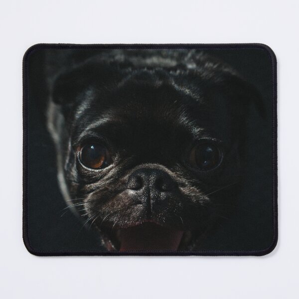 Item preview, Black Pug, Black Dog, Black Puppy Pug Dog, designed and sold by Almondille.
