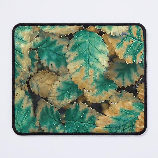 Item preview, Botanical Beauty: Intricate Leaves Close-Up  designed and sold by DFLC Prints.