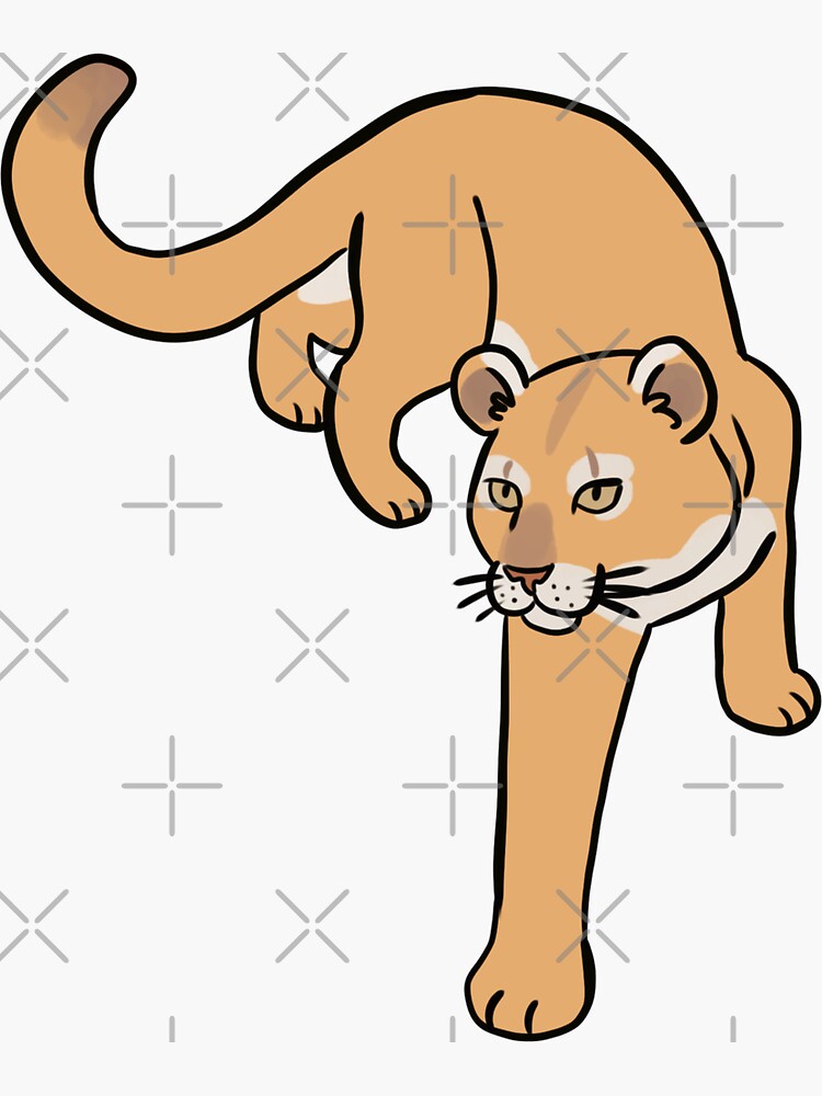 mountain lion illustration