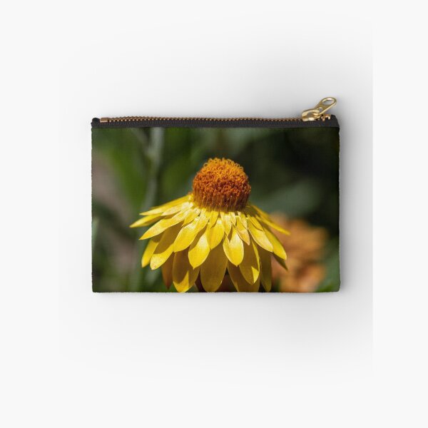 Item preview, Cone flower designed and sold by Jacquiamber.
