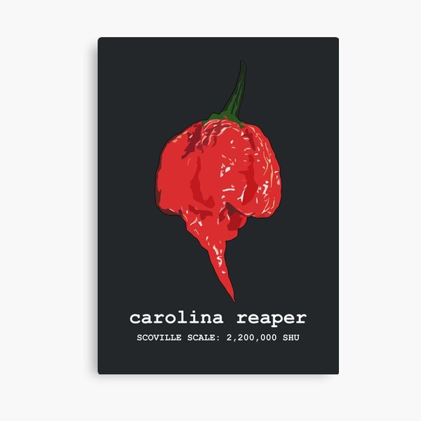Top 10 World's Hottest Peppers Poster