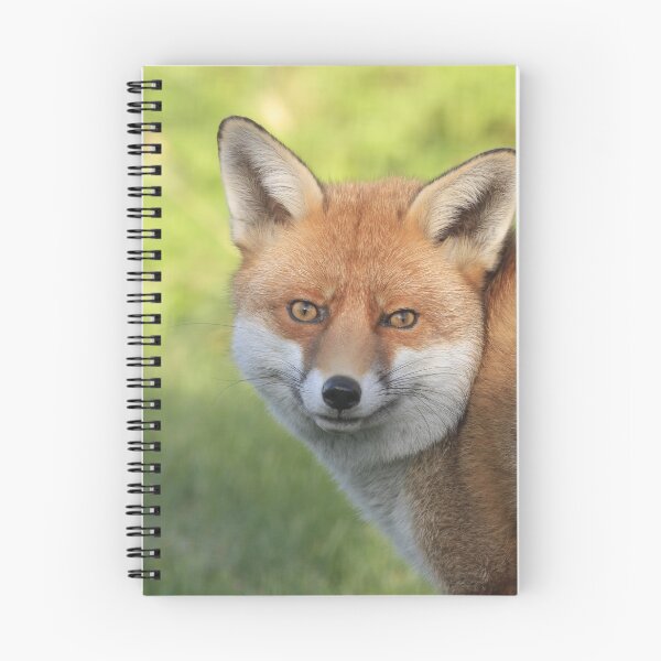 Item preview, Foxy designed and sold by miradorpictures.