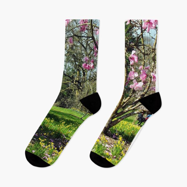 Item preview, Magnolia Tree Batsford Arboretum Cotswolds UK designed and sold by AndyEvansPhotos.
