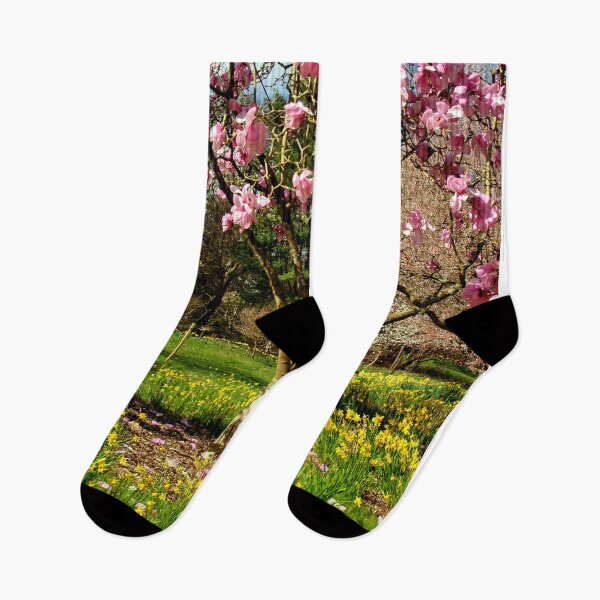 Item preview, Magnolia Tree Batsford Arboretum Cotswolds UK designed and sold by AndyEvansPhotos.