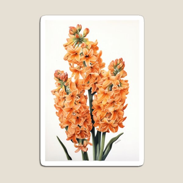 Aperçu de l'œuvre Apricot Hyacinth  créée et vendue par Vanover Designs.