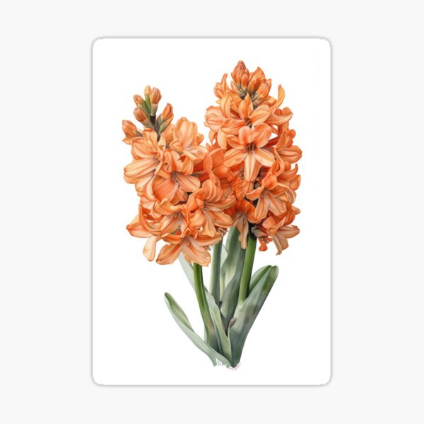 Aperçu de l'œuvre Apricot Hyacinth  créée et vendue par Vanover Designs.
