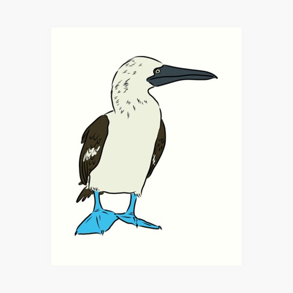 Hand Painted Leggings or Crops - Blue Footed Boobi - NuevoSol