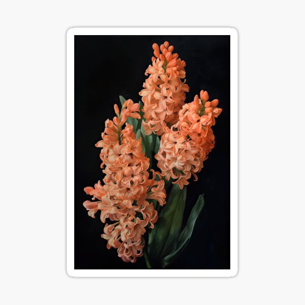 Aperçu de l'œuvre Apricot Hyacinth  créée et vendue par Vanover Designs.