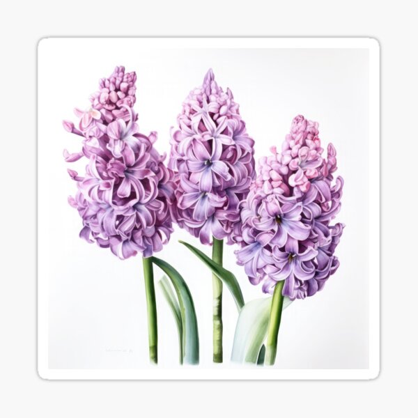 Aperçu de l'œuvre Lavender Hyacinth  créée et vendue par Vanover Designs.