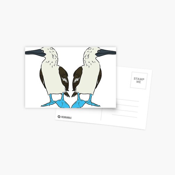 Check Out These Boobies Cheeky Postcard Blue Footed Boobies Postcard Blue  Footed Booby Postcard 
