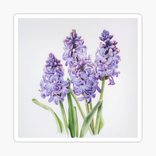 Aperçu de l'œuvre Lavender Hyacinth  créée et vendue par Vanover Designs.