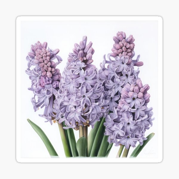 Aperçu de l'œuvre Lavender Hyacinth  créée et vendue par Vanover Designs.