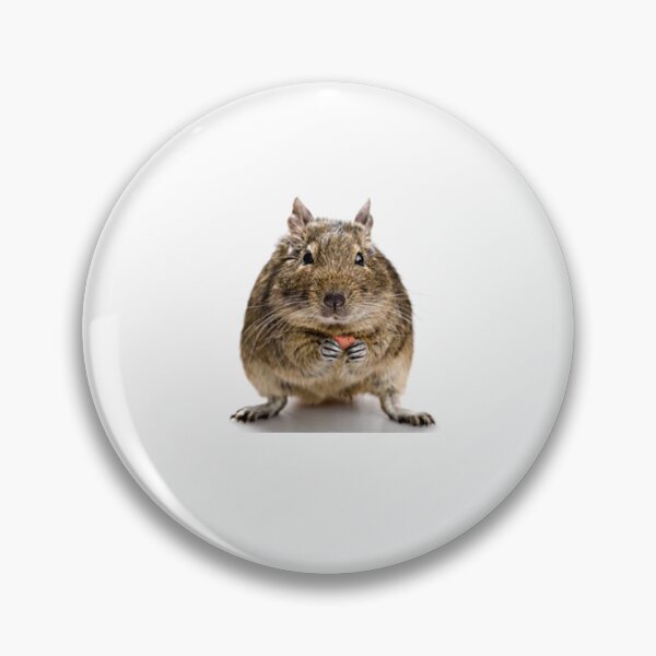 Item preview, Squirrel  designed and sold by Gentle40Winks.
