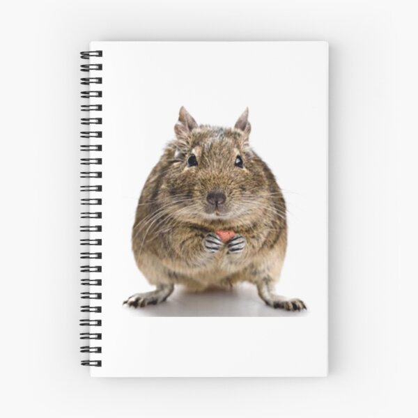 Item preview, Squirrel  designed and sold by Gentle40Winks.